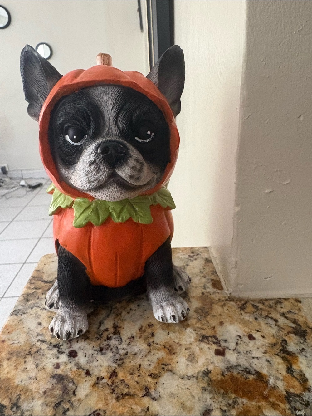 Halloween Boston Terrier Pumpkin Costume Statue Dog Figurine Decor